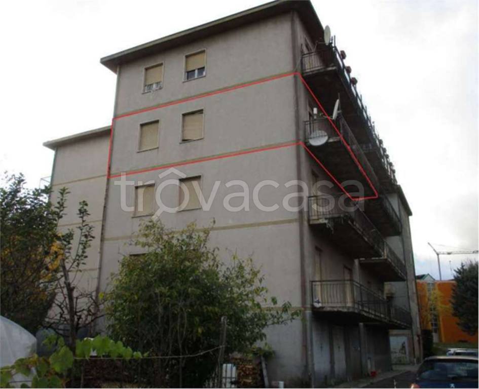immagine annuncio 6 di 14