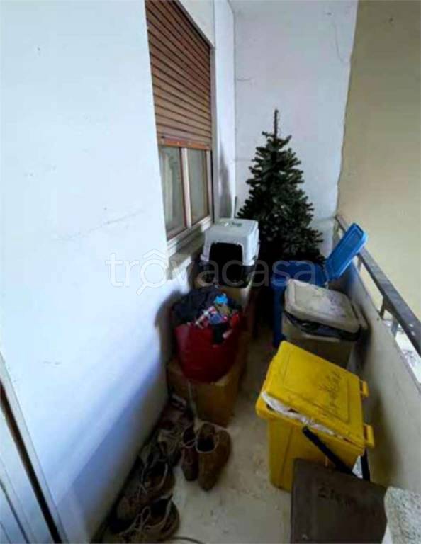 immagine annuncio 11 di 13