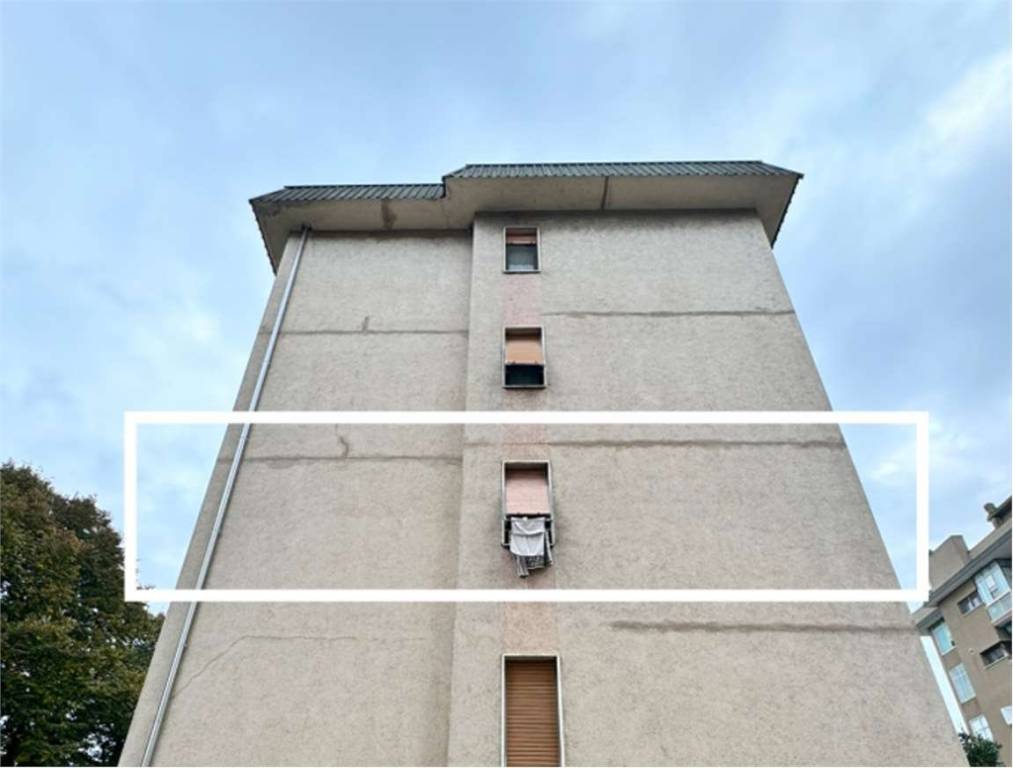 immagine annuncio 9 di 14