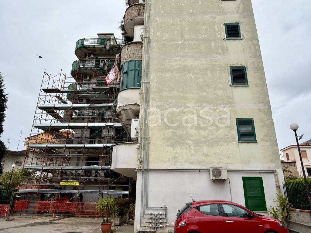 immagine annuncio 3 di 8