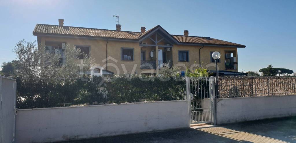 immagine annuncio 2 di 15