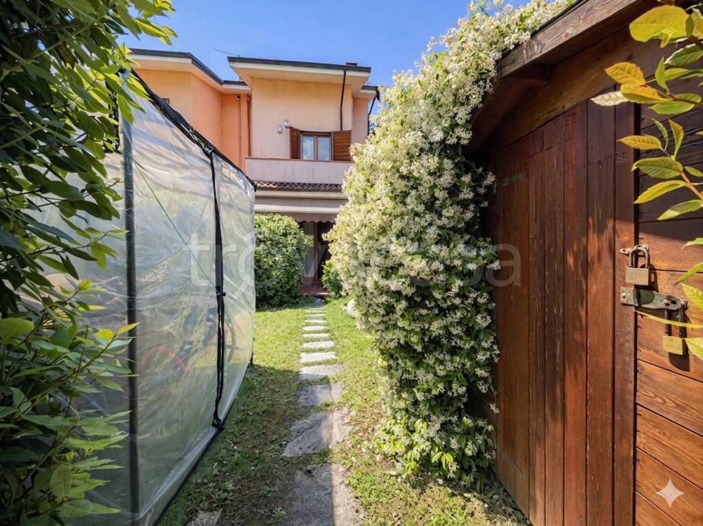 immagine annuncio 8 di 15
