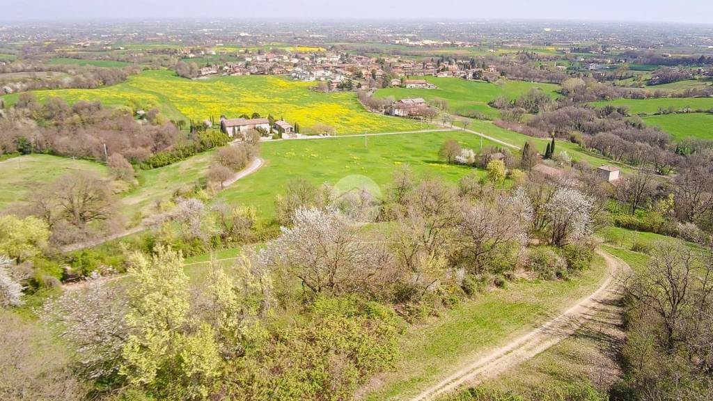 immagine annuncio 6 di 7