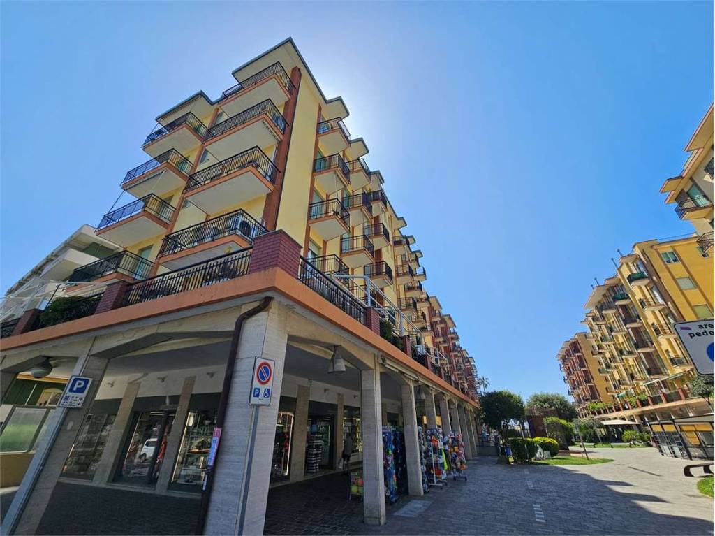 immagine annuncio 2 di 12