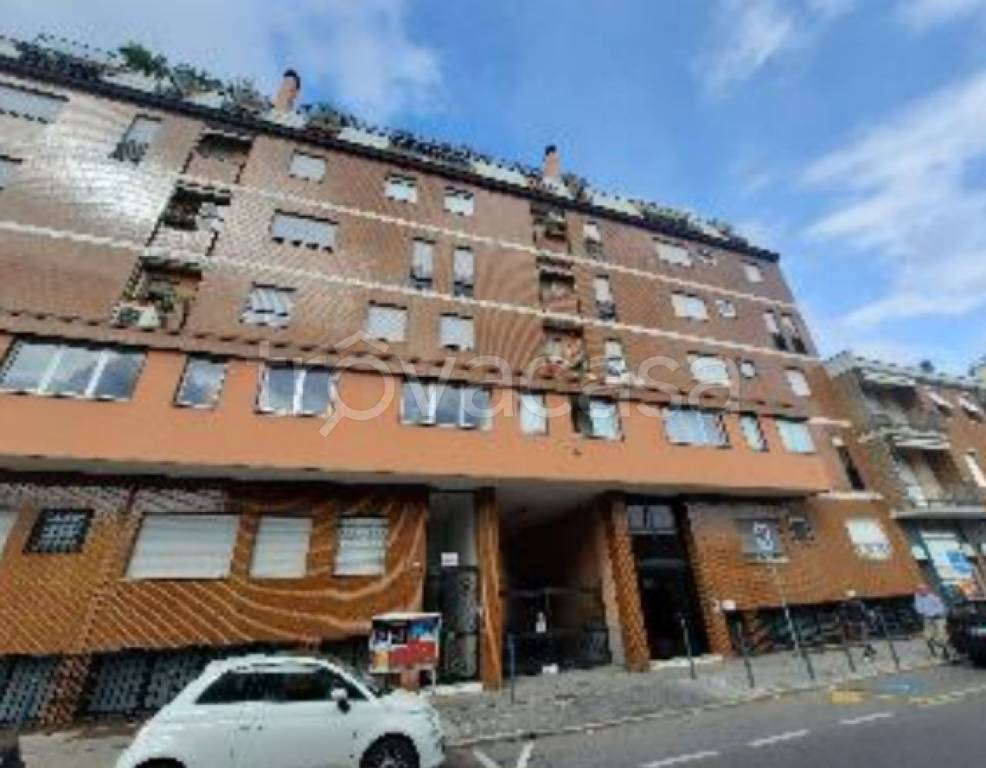 immagine annuncio 1 di 12