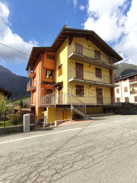 immagine annuncio 3 di 15