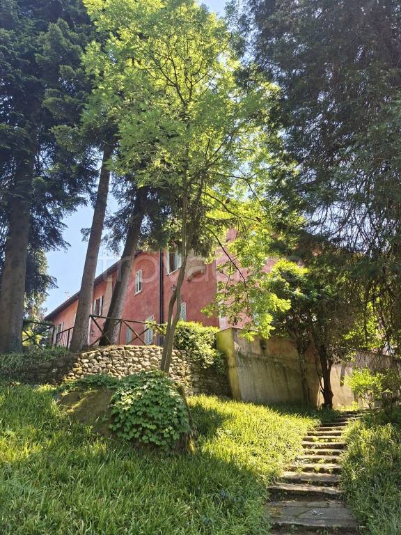 immagine annuncio 2 di 14