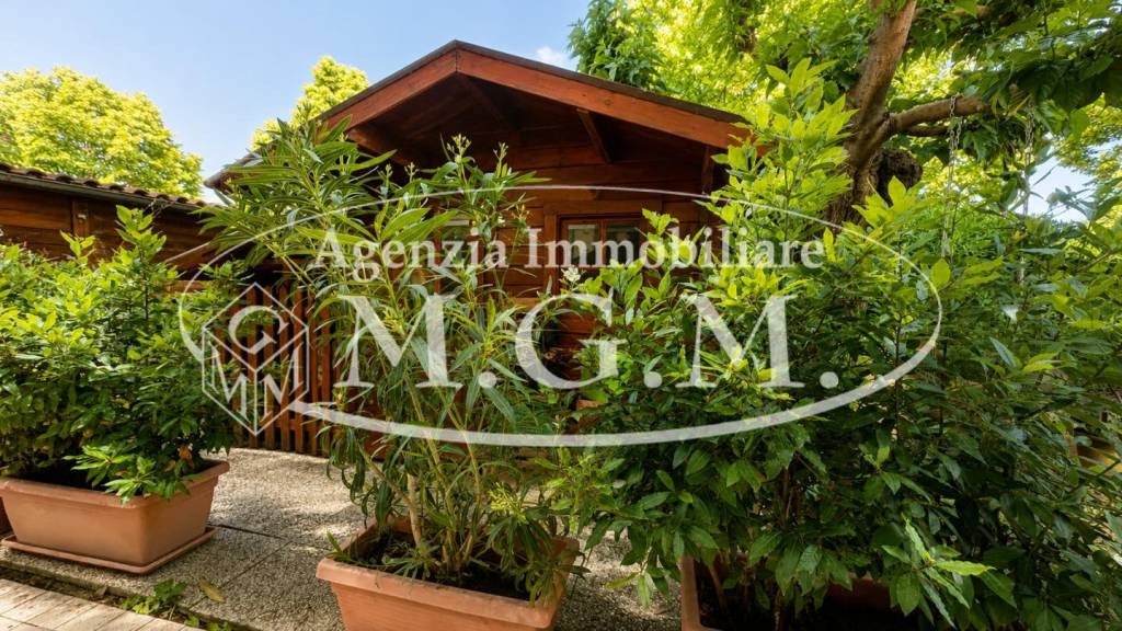 immagine annuncio 4 di 15