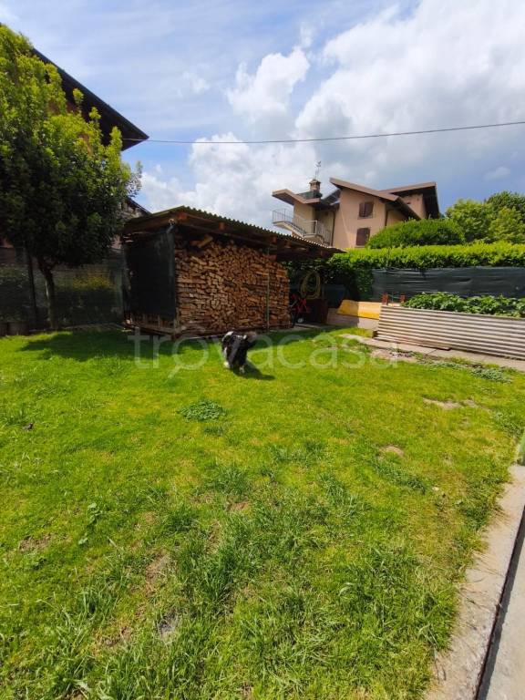 immagine annuncio 12 di 14