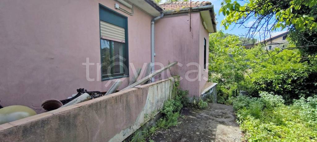 immagine annuncio 6 di 7