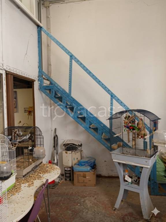 immagine annuncio 7 di 11