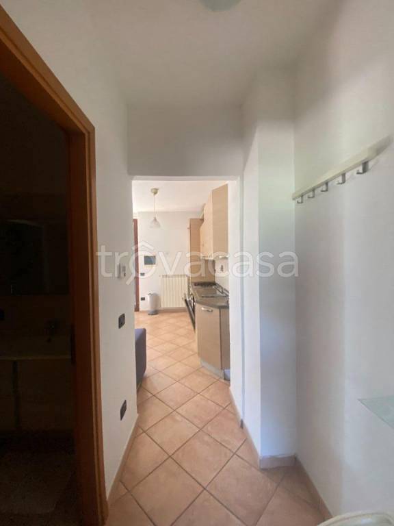 immagine annuncio 9 di 14