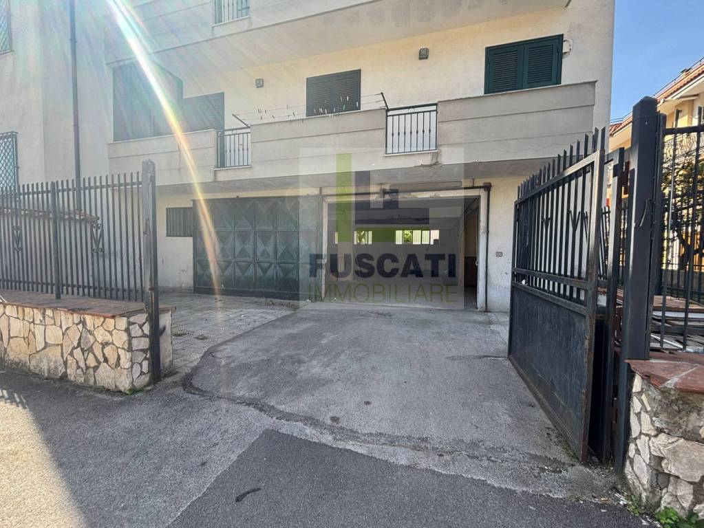 immagine annuncio 3 di 12