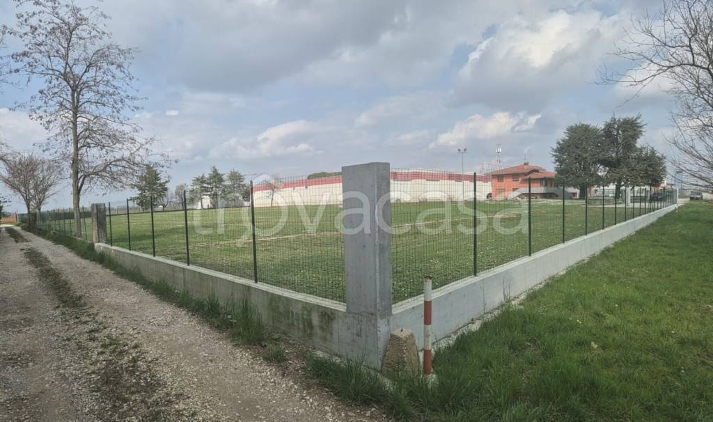 immagine annuncio 6 di 7