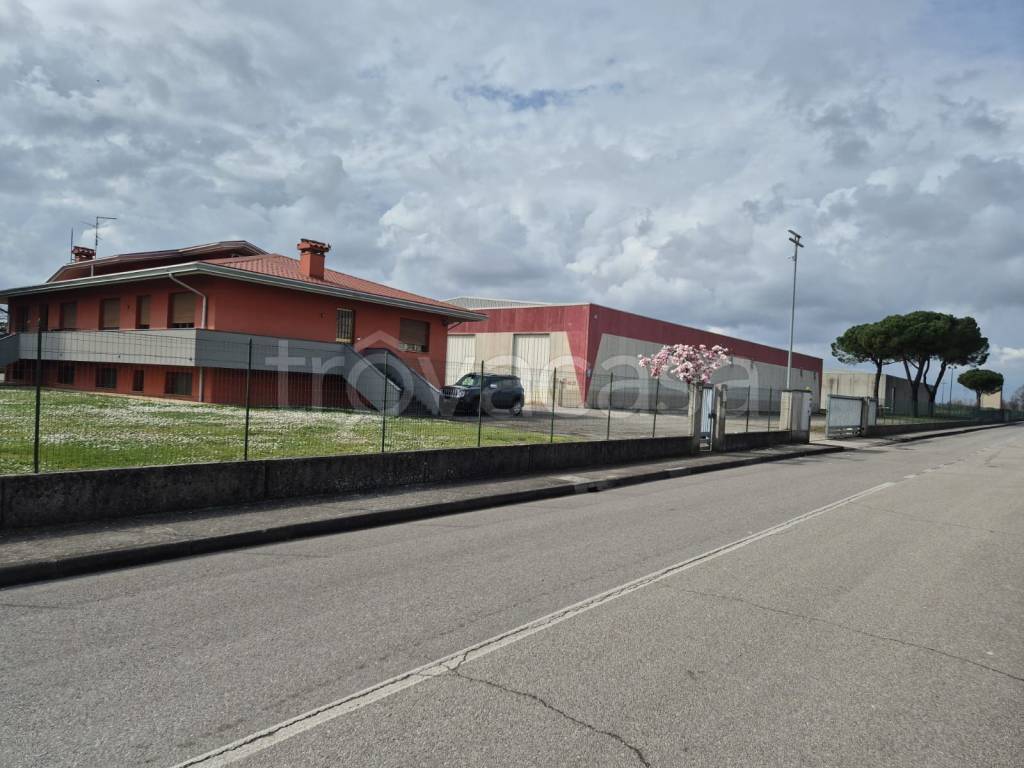 immagine annuncio 2 di 7
