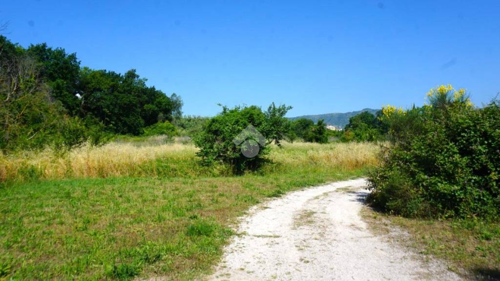 immagine annuncio 4 di 14