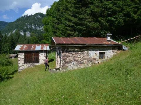 immagine annuncio 4 di 11