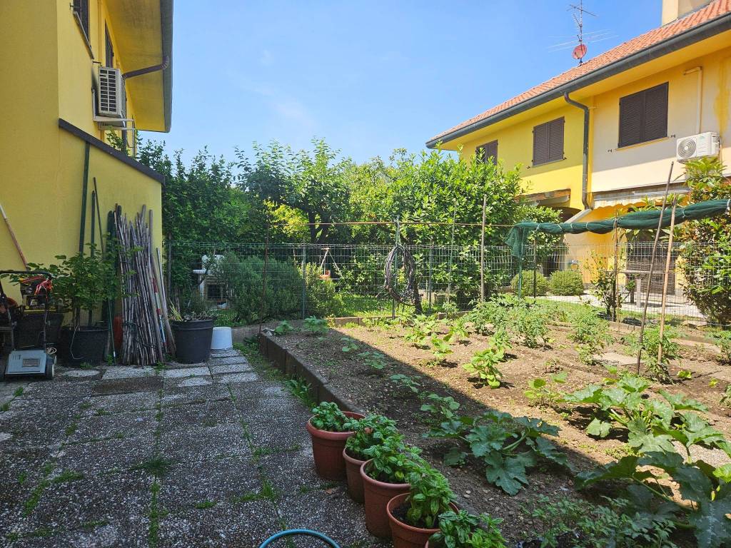 immagine annuncio 9 di 15