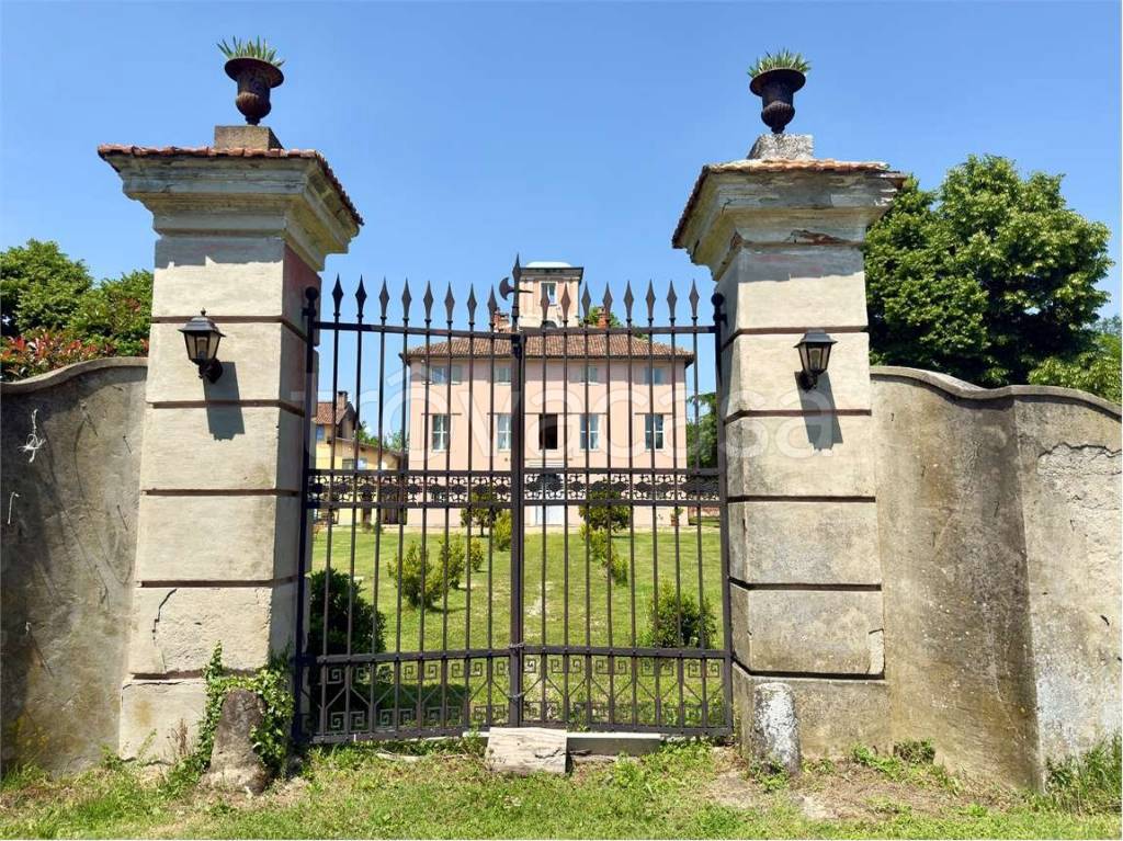 immagine annuncio 11 di 15
