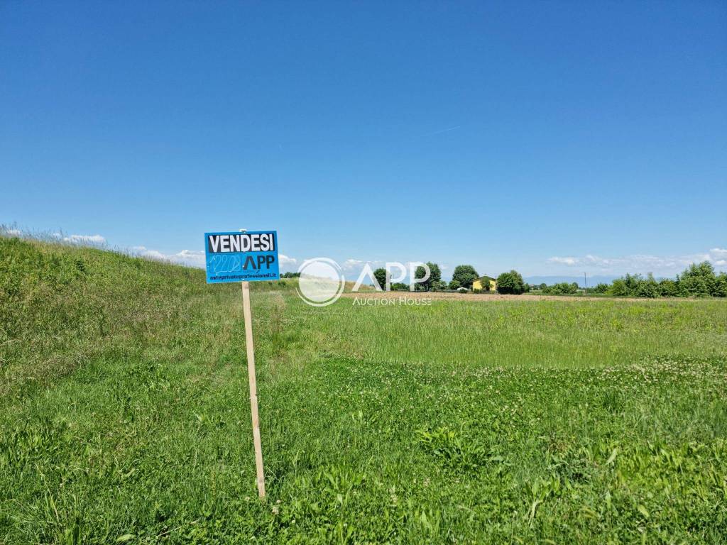 immagine annuncio 1 di 12