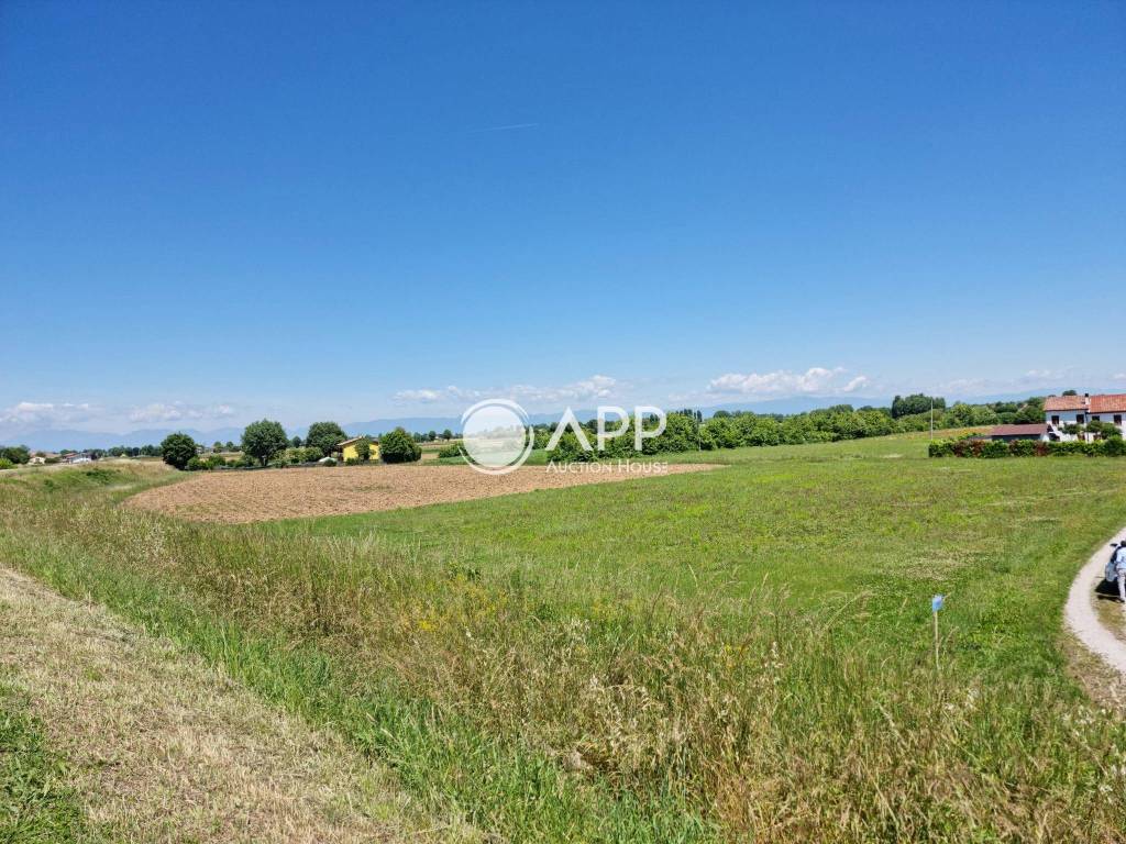 immagine annuncio 8 di 12