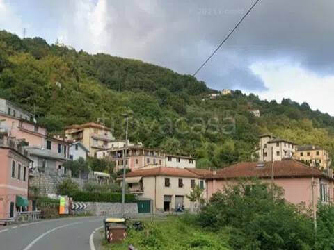 immagine annuncio 1 di 2