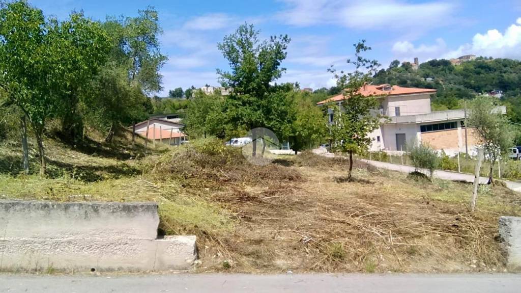 immagine annuncio 3 di 11