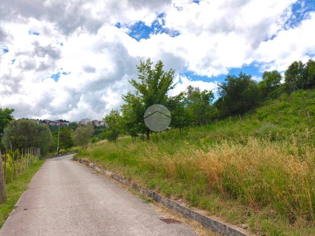 immagine annuncio 5 di 11