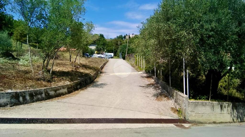 immagine annuncio 7 di 11