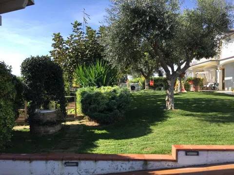 immagine annuncio 6 di 7