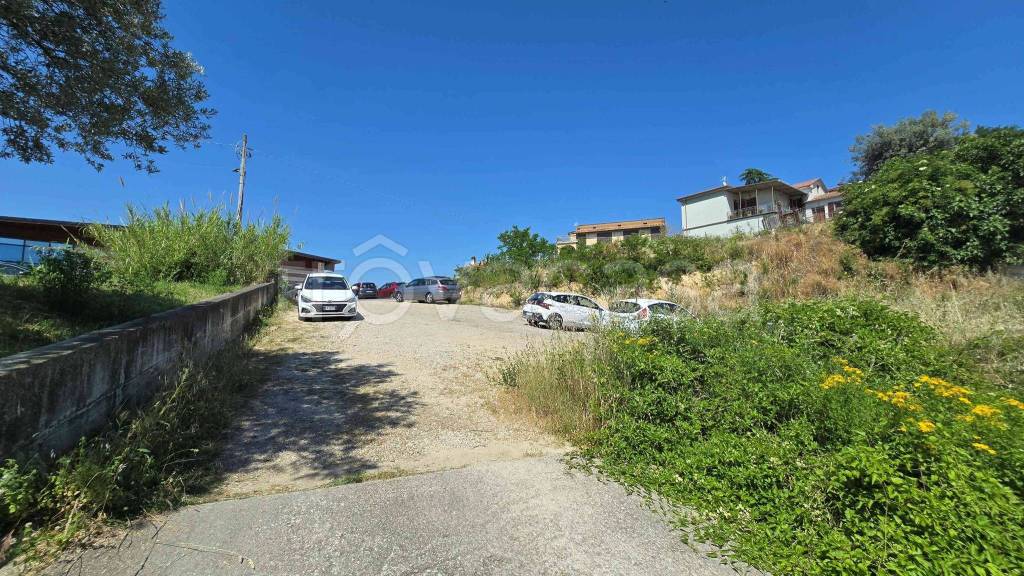 immagine annuncio 12 di 13