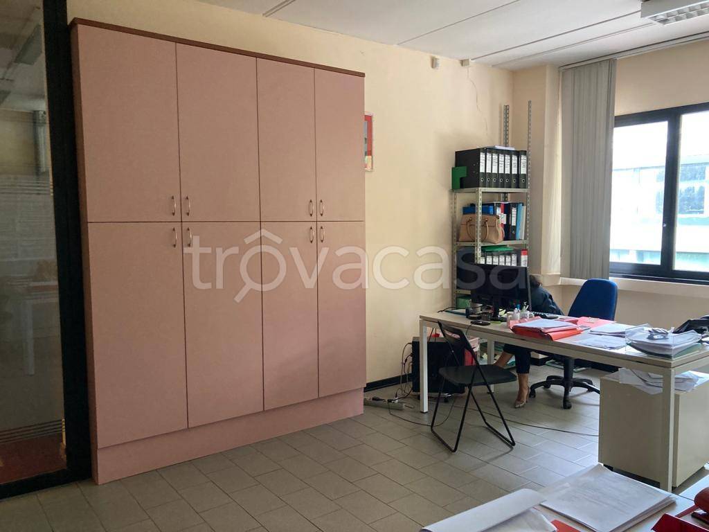 immagine annuncio 2 di 14