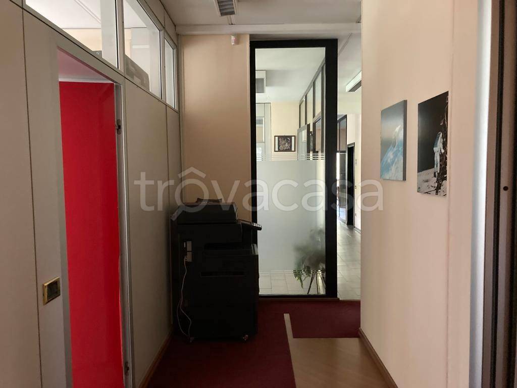 immagine annuncio 8 di 14