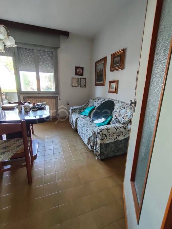 immagine annuncio 3 di 12