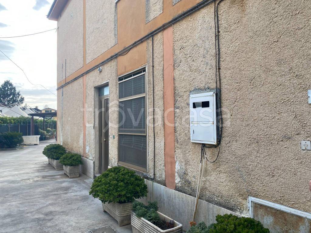 immagine annuncio 1 di 6