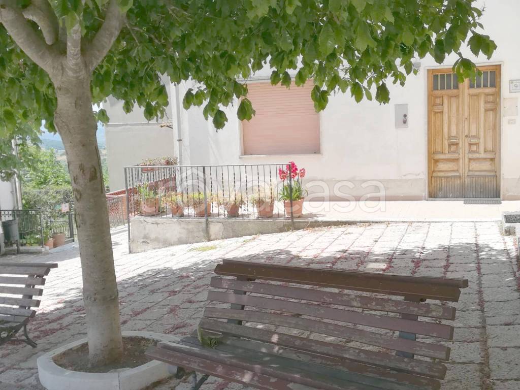 immagine annuncio 2 di 12