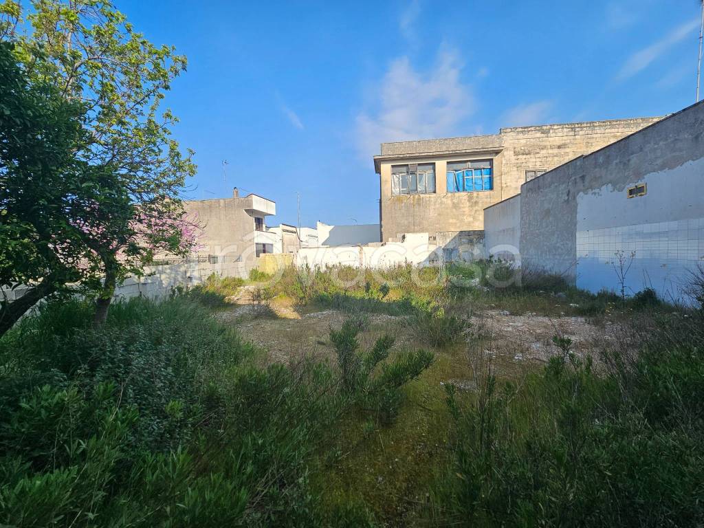 immagine annuncio 5 di 11