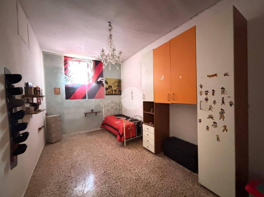 immagine annuncio 4 di 14