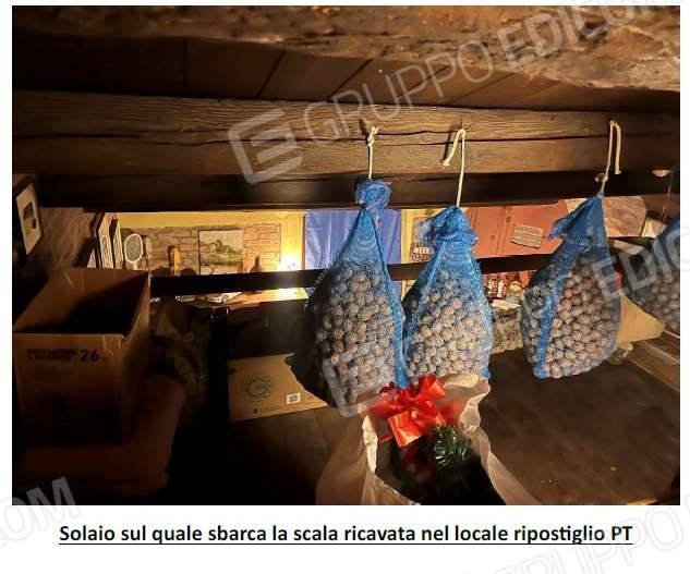immagine annuncio 10 di 15
