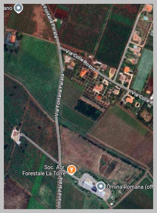 immagine annuncio 3 di 14