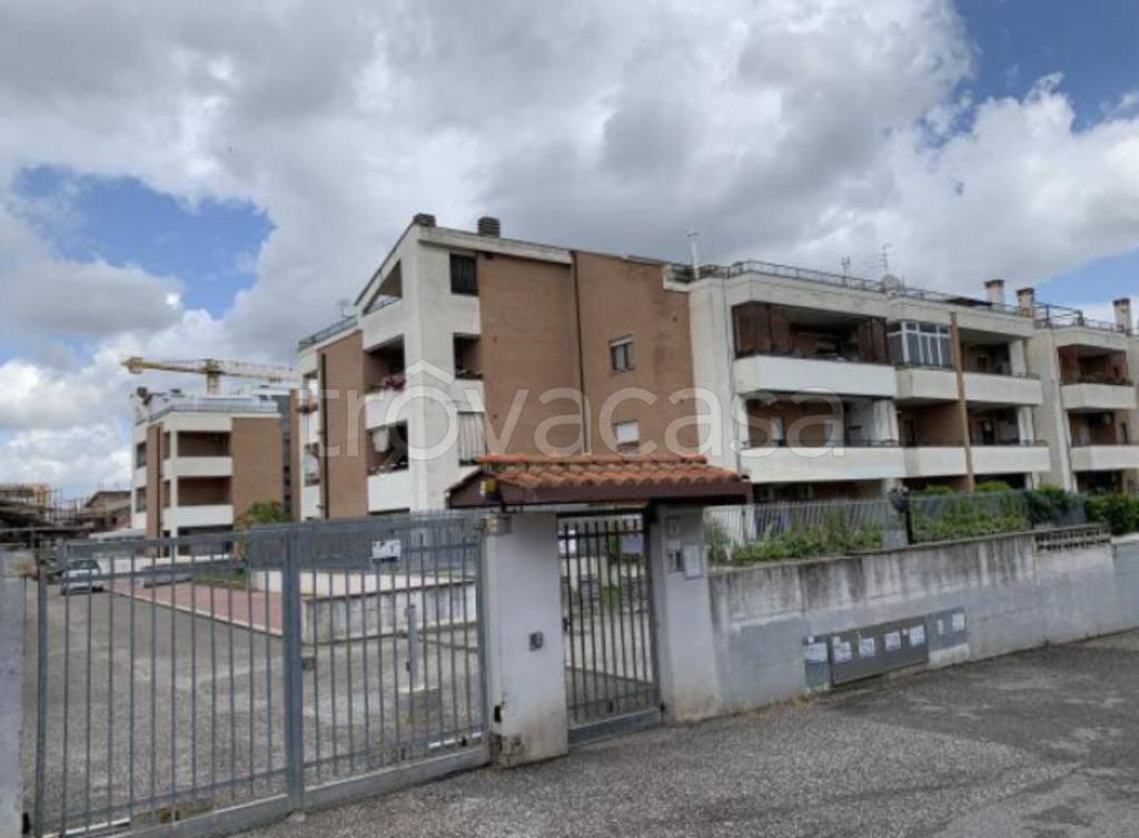 immagine annuncio 1 di 13