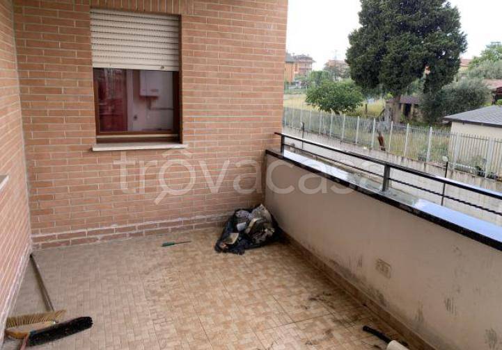 immagine annuncio 8 di 13