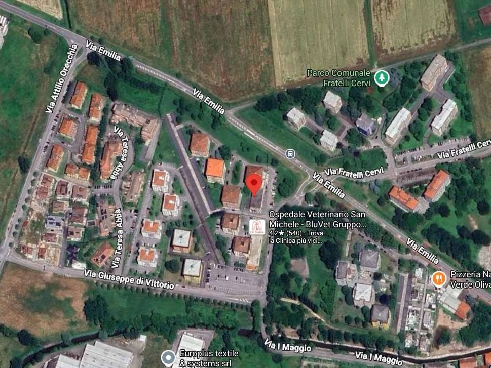 immagine annuncio 2 di 15