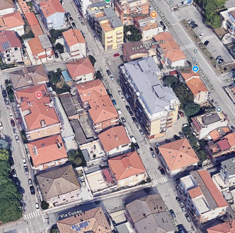 immagine annuncio 7 di 15