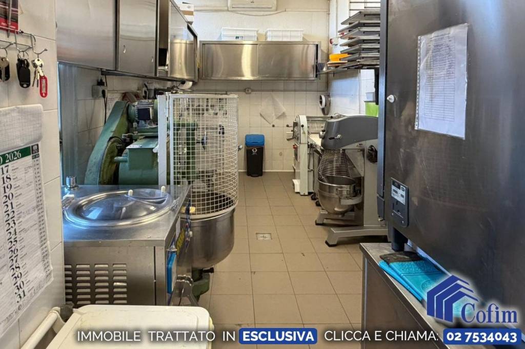 immagine annuncio 13 di 15