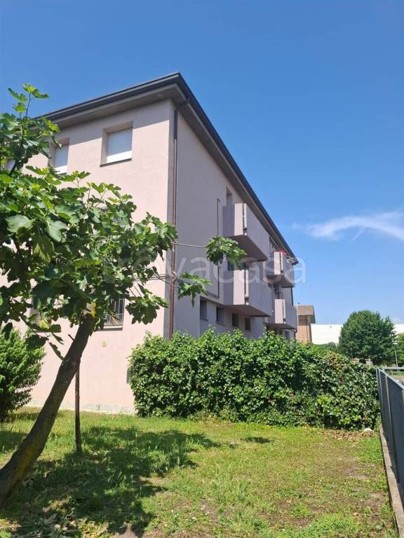 immagine annuncio 10 di 11