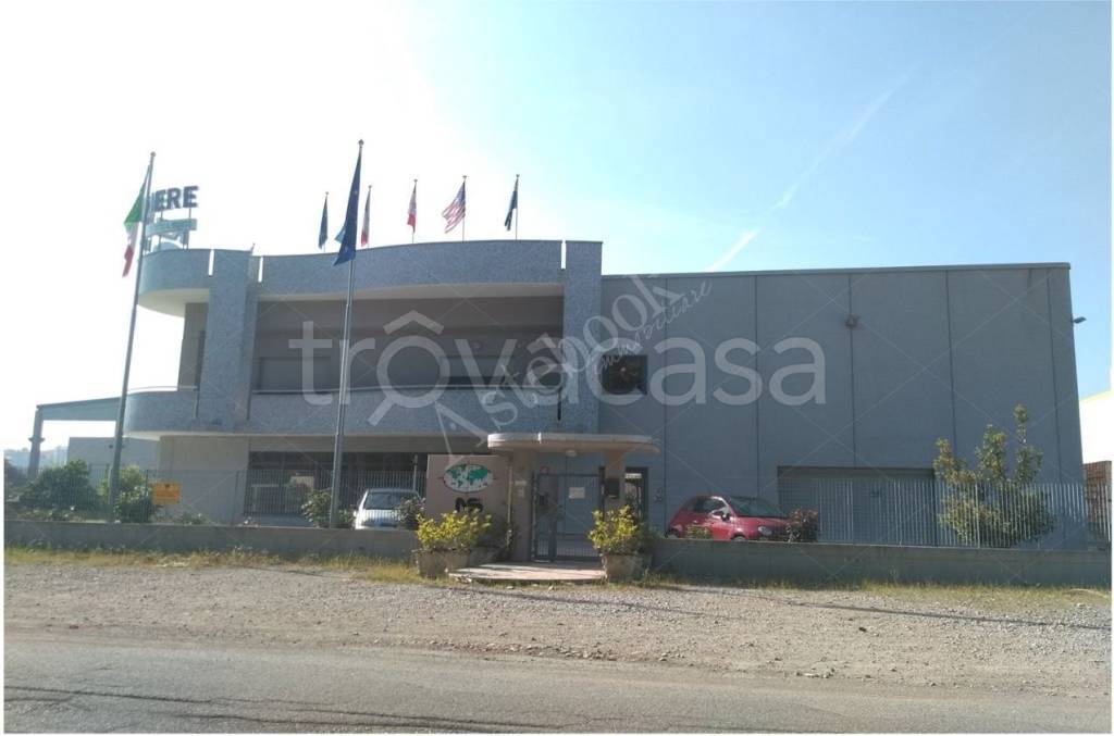 immagine annuncio 2 di 12