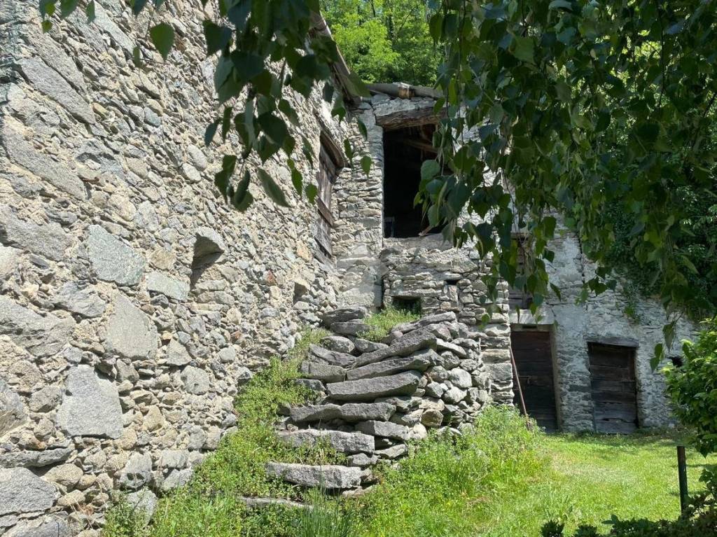 immagine annuncio 4 di 8