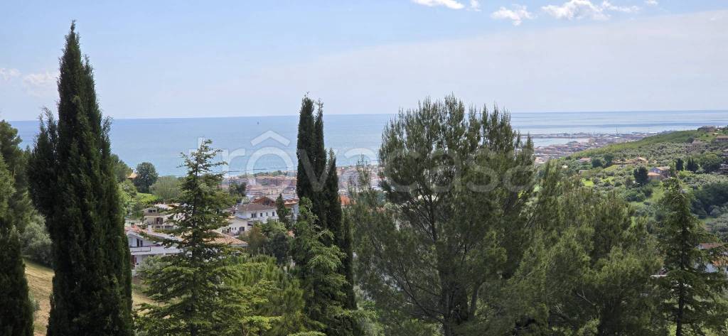 immagine annuncio 5 di 14