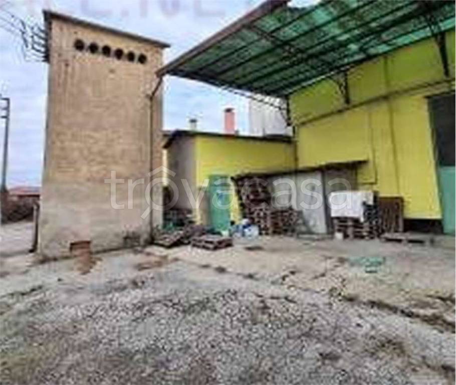 immagine annuncio 3 di 12
